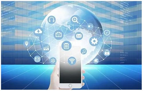 軟件開發成果保護 策略與實踐